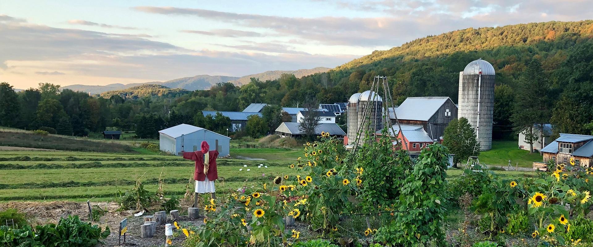 Community garden