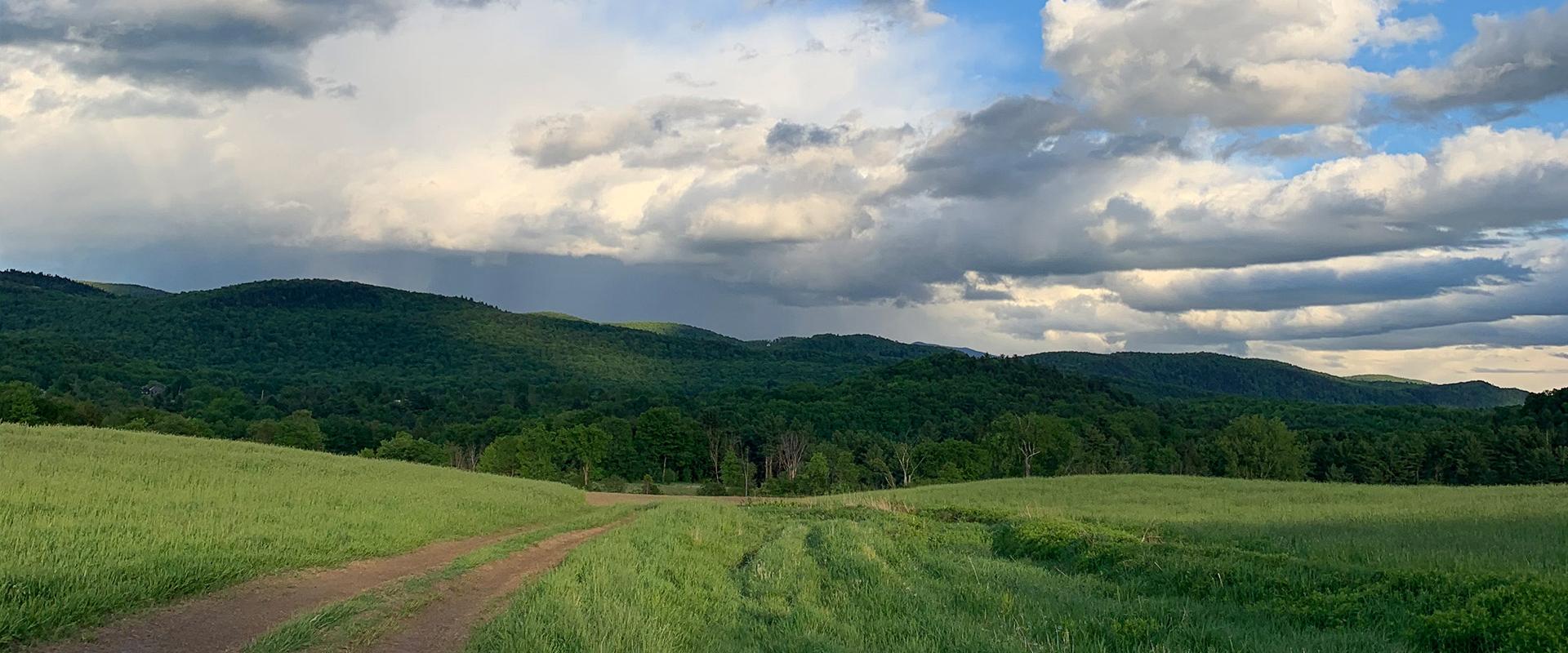 Fields and clouds