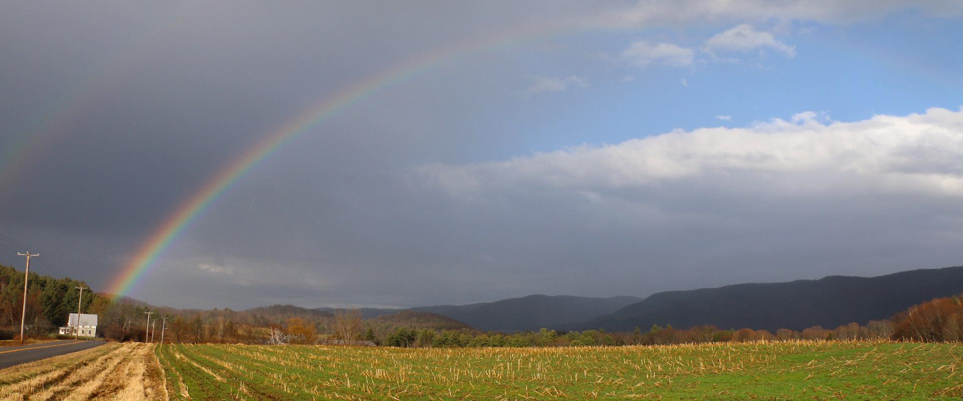 Rainbow Fields