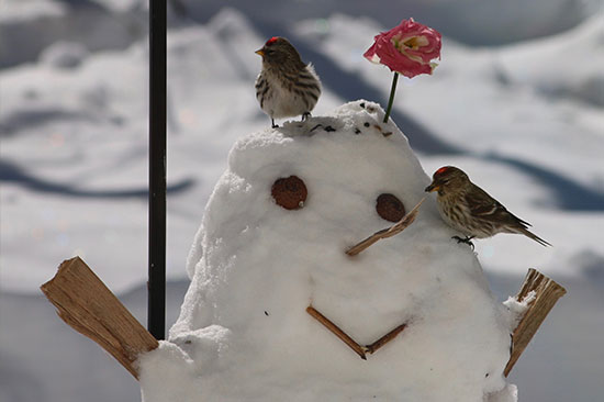 snowman